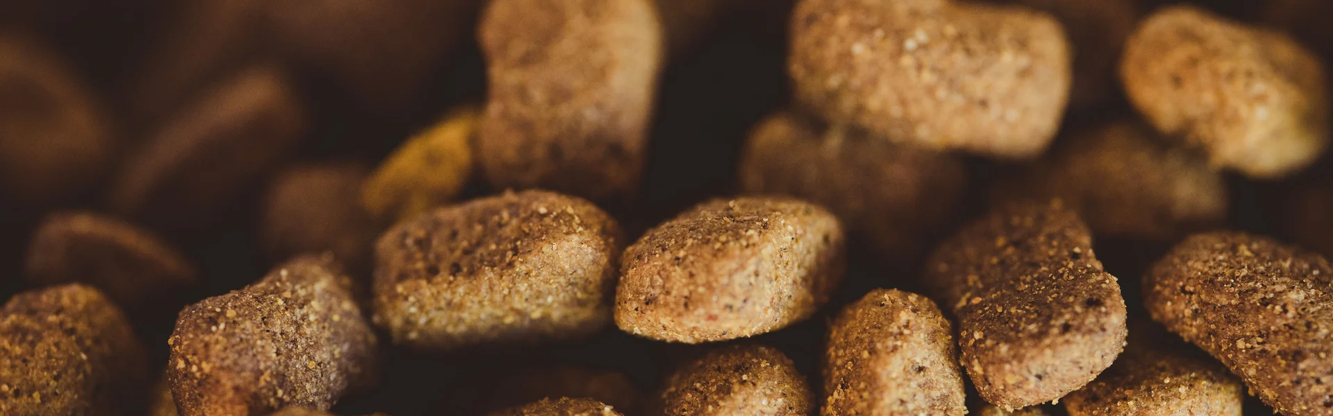bannière-meilleures-croquettes Gros plan sur des croquettes
