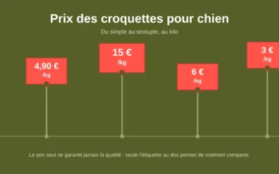 Prix des Croquettes pour Chien : Que Cache le Bas de Gamme vs Premium ?