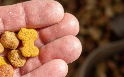 Croquettes Sans Céréales ou Sans Gluten pour Chien : la Différence ?