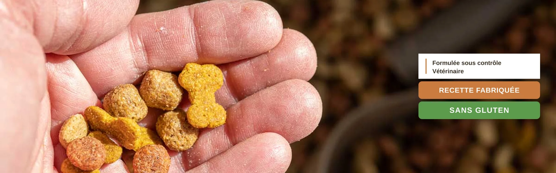 zoom-mains-croquettes Quelques croquettes dans une main avec à cote la notion de sans gluten